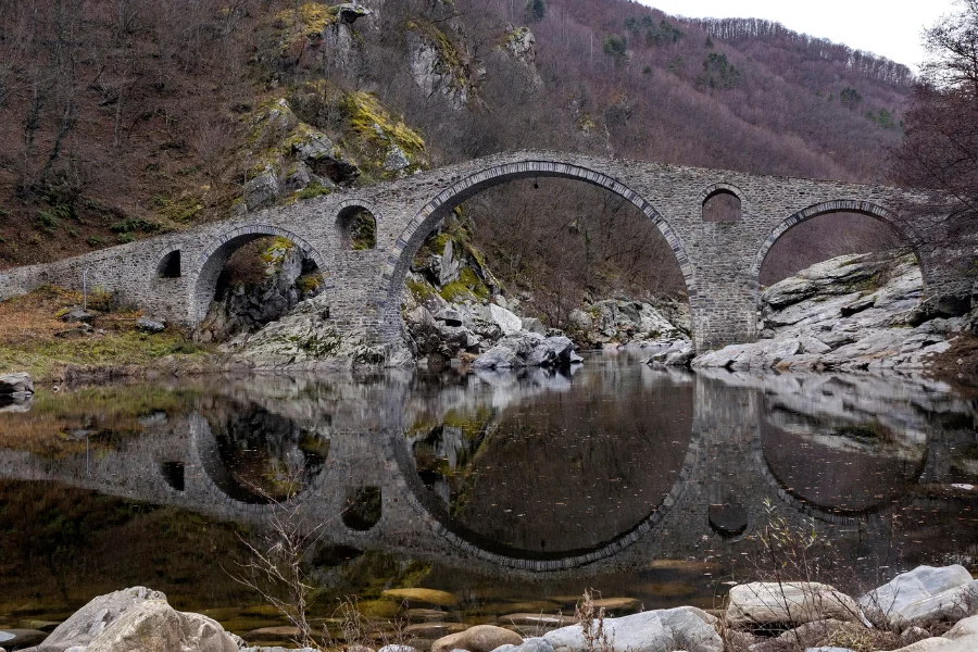 da vinci bridge