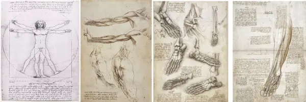 da-vinci-drawings