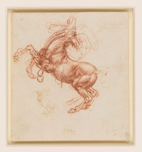 Leonardo da Vinci anatomical drawings