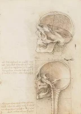 Leonardo da Vinci Anatomical Drawings