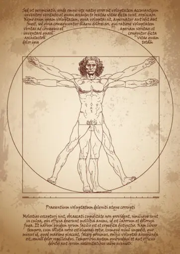 Leonardo da Vinci Anatomical Drawings